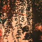 fairycore bedroom, vines, butterfly, roses